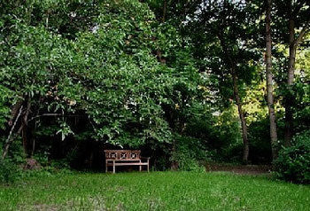 Seraphinum Gasthof Dresden